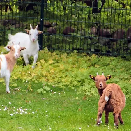 Rosengaertchen Apartmán *