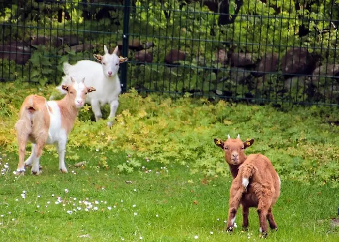 Rosengaertchen Appartamento *